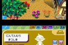 Animal crossing ds : Animal Crossing arrive sur DS