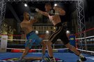   Don King Boxing  arrive sur Nintendo DS et Wii