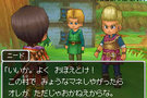 Une fournée d'images pour  Dragon Quest IX  sur DS
