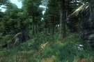 Deux normes images pour  Elder Scrolls Oblivion