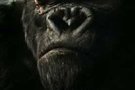 Plus de 4 millions de  King Kong  vendus