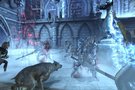   Witch Hunt  : le dernier DLC de  Dragon Age  s'illustre
