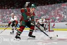   NHL Slapshot  sur Nintendo Wii en sept images