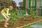 Une nouvelle extension pour  Les Sims 2
