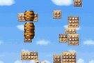   Donkey Kong jungle Climber  va faire grimper la DS