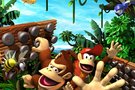 E3 :  DK Jungle Climber  suspendu en images