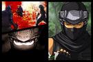   Ninja Gaiden Dragon Sword  chez Ubisoft