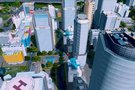 Plus de 250 000 Cities Skylines couls : un record pour Paradox