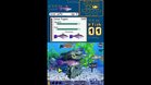 Images et photos Fish Tycoon