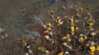 Images et photos Warhammer : Battle March