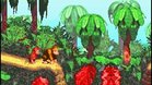 Images et photos Donkey kong country