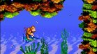 Images et photos Donkey kong country