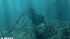 Images et photos Underwater Wars