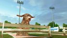 Images et photos PETZ Sports : Chiots & Compagnie