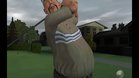 Images et photos Tiger woods pga tour 2004