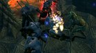 Images et photos Champions Of Norrath