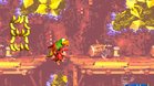 Images et photos Donkey kong country 2