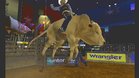 Images et photos Professional Bull Riders : Out Of The Chute