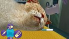 Images et photos Pet Pals : Animal Doctor