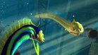 Images et photos Gang de requins