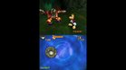 Images et photos Rayman ds