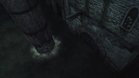 Images et photos Tomb Raider Underworld : Sous Les Cendres