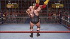 Images et photos WWE Legends Of Wrestlemania