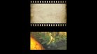 Images et photos Secret Files 2 : Puritas Cordis