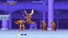 Images et photos Altered Beast