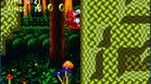 Images et photos Sonic And Knuckles