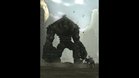 Images et photos Shadow Of The Colossus