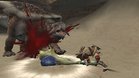 Images et photos Monster Hunter 2