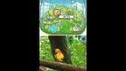 Images et photos Discovery Kids : Parrot Pals