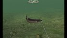 Images et photos Reel Fishing Challenge