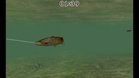 Images et photos Reel Fishing Challenge