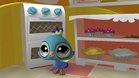 Images et photos Littlest Pet Shop Friends