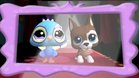 Images et photos Littlest Pet Shop Friends