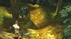 Images et photos Vagrant Story