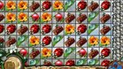 Images et photos Paradise Quest