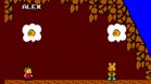 Images et photos Alex Kidd In Miracle World