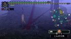 Images et photos Monster Hunter Freedom
