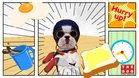 Images et photos The Dog Happy Life