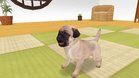 Images et photos The Dog Happy Life