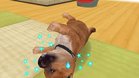 Images et photos The Dog Happy Life