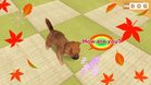 Images et photos The Dog Happy Life