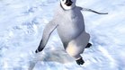 Images et photos Happy Feet