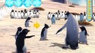 Images et photos Happy Feet