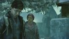 Images et photos Harry Potter Et Les Reliques De La Mort - Premire Partie