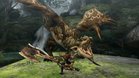 Images et photos Monster Hunter Portable 3rd