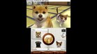 Images et photos Nintendogs + Cats - Bouledogue Francais & Ses Nouveaux Amis